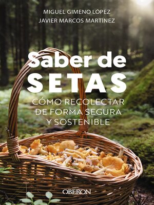 cover image of Saber de setas